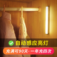 以典 橱柜灯带衣柜人体感应光控充电层板led长条厨房灯条