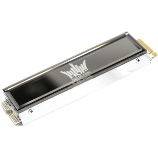 GALAXY 影驰 名人堂 HOF EX NVMe M.2 固态硬盘（PCI-E4.0）