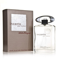 Salvatore Ferragamo 菲拉格慕 美梦成真男士淡香水 EDT 100ml