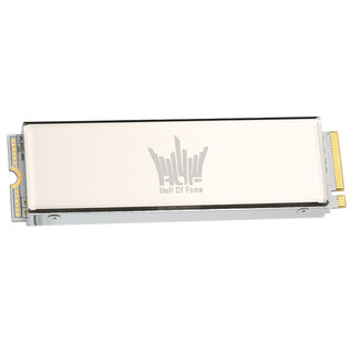 GALAXY 影驰 名人堂 HOF Pro 20 NVMe M.2 固态硬盘 1TB (PCI-E4.0)