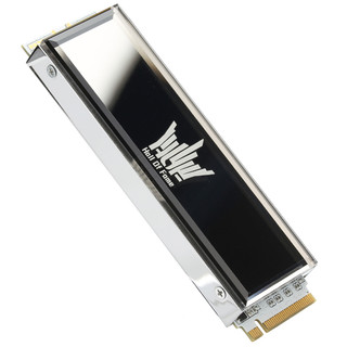 GALAXY 影驰 名人堂 HOF Pro 20 NVMe M.2 固态硬盘 1TB (PCI-E4.0)