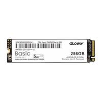 GLOWAY 光威 Basic NVMe M.2 固态硬盘 256GB (PCI-E3.0)