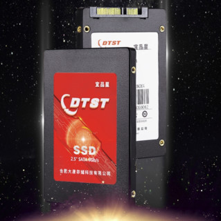 DTST 大唐存储 DT300 SATA 固态硬盘 960GB (SATA3.0)
