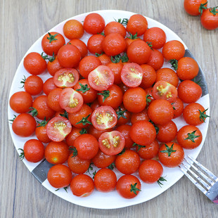 樱桃番茄小西红柿3斤