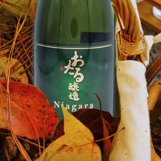 神户 小樽尼亚加拉 气泡葡萄酒 720ml