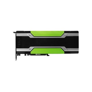 LEADTEK 丽台 NVIDIA TESLA P40 显卡 24GB