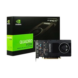 Leadtek 丽台科技 NVIDIA Quadro P2200 显卡 5GB