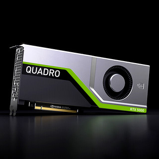 LEADTEK 丽台 NVIDIA RTX 5000 显卡 16GB 黑白色