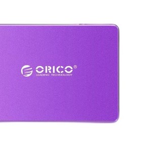 ORICO 奥睿科 速龙 H110 SATA 固态硬盘 120GB (SATA3.0)