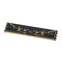 GEIL 金邦 黑龙电竞系列 DDR3 1600MHz 台式机内存 黑色 8GB