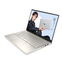 HP 惠普 星14-dv0006TX 14英寸轻薄本（i5-1135G7、16GB、512GB、MX450）