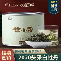 誉达福鼎白茶白牡丹茶叶新茶散茶特级2020年明前头采 40g誉小白