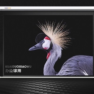 KUAIDUOXIAOWU 快朵小屋 100英寸16:9电动遥控白塑幕布