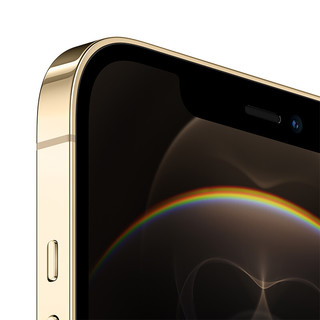Apple 苹果 iPhone 12 Pro Max系列 A2412国行版 手机 512GB 金色