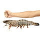 jufuxian 聚福鲜 活冻黑虎虾超大24-32只 毛重2.4kg