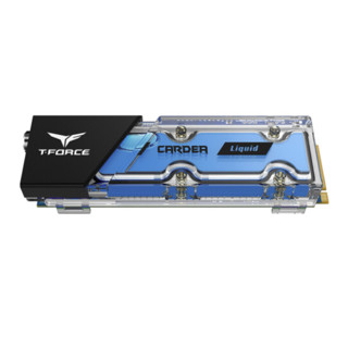 Team 十铨 T-FORECE 电竞 海王星 NVMe M.2 固态硬盘 512GB (PCI-E3.0)