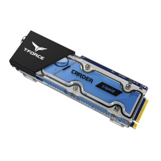 Team 十铨 T-FORECE 电竞 海王星 NVMe M.2 固态硬盘 512GB (PCI-E3.0)