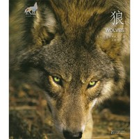 《动物小百科·狼》