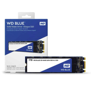 Western Digital 西部数据 蓝盘 M.2 固态硬盘 1TB (SATA3.0) WDS100T2B0B