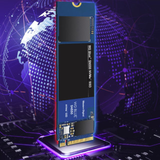Western Digital 西部数据 蓝盘 SN550 NVMe M.2 固态硬盘（PCI-E3.0）