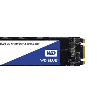 Western Digital 西部数据 蓝盘 M.2 固态硬盘 500GB (SATA3.0) WDS500G2B0B