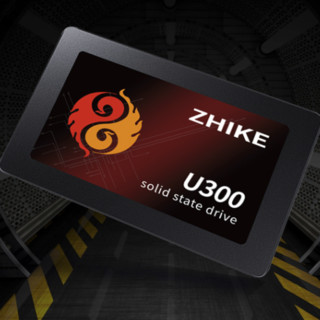 ZHIKE 挚科 U300 SATA 固态硬盘 240GB (SATA3.0)