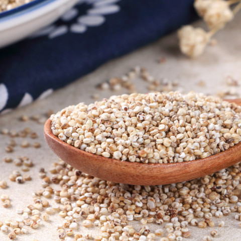 （买1送1）十月稻田青海藜麦米真空480g