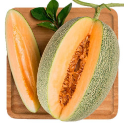 鲜丰水果沙洲绿宝瓜中果约15kg