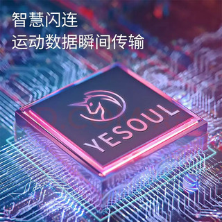 YESOUL野小兽智能水阻划船机家用折叠健身器材训练室内划船器 R20-智能一体款