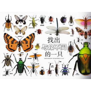 《DK书本科技馆·虫：昆虫家族与它们的亲戚》