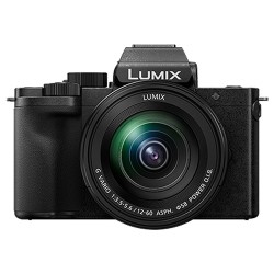 Panasonic 松下 DC-G100MGK M43画幅 无反相机 (12-60mm镜头)套机