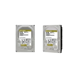 Western Digital 西部数据 金盘系列 3.5英寸 企业级硬盘 6TB（7200rpm、256MB）WD6003VRYZ