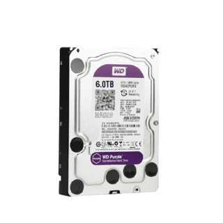 Western Digital 西部数据 紫盘系列 3.5英寸 监控级硬盘 6TB（PMR、5400rpm、64MB）WD60PURX