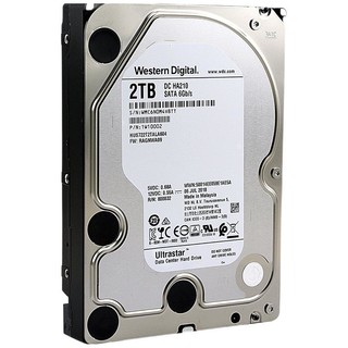 Western Digital 西部数据 Ultrastar DC HA210系列 2TB 3.5英寸 企业级硬盘 (7200rpm、CMR) HUS722T2TALA604