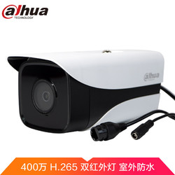dahua 大华摄像头 400万网络高清摄像机 双灯红外监控器 H.265编码 星光级夜视 DH-IPC-HFW2433DM-I2 镜头6MM