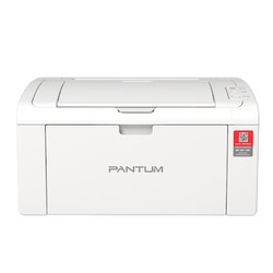 PANTUM 奔图 P2210W 黑白激光无线打印机