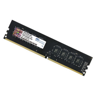 Team 十铨 DDR4 2666MHz 台式机内存 普条 16GB TED416G2666C19BK