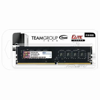 Team 十铨 DDR4 2666MHz 台式机内存 普条 16GB TED416G2666C19BK