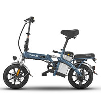 TAILG 台铃 FL5 新国标电动自行车 TDT19Z 48V8Ah锂电池 浅银灰 国标版