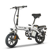 TAILG 台铃 FL5 新国标电动自行车 TDT19Z 48V8Ah锂电池 白色 国标版