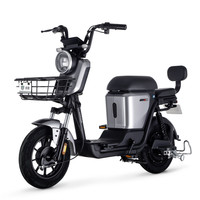 LUYUAN 绿源 ZFA 蜜豆 电动自行车 TDT2020Z 48V24Ah锂电池 星球灰