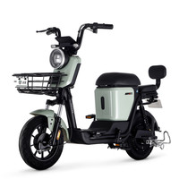 LUYUAN 绿源 ZFA 蜜豆 电动自行车 TDT2020Z 48V24Ah锂电池 浅灰绿