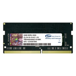 Team 十铨 DDR4 2666MHz 笔记本内存 普条 8GB TED48G2666C19-SBK