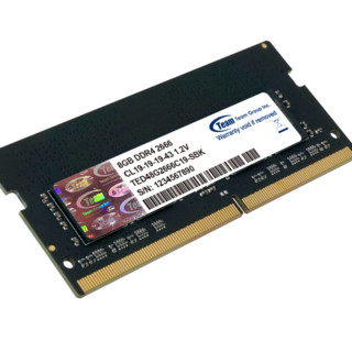 Team 十铨 DDR4 2666MHz 笔记本内存 普条 8GB TED48G2666C19-SBK