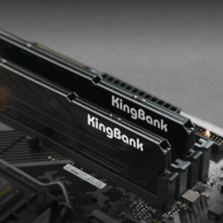 KINGBANK 金百达 黑爵系列 DDR4 3200MHz 台式机内存 马甲条