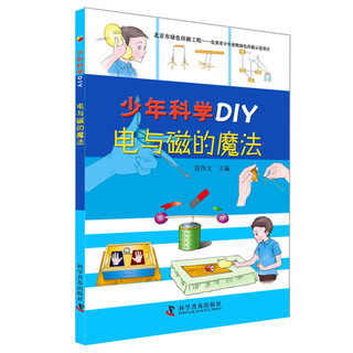 《少年科学DIY》（套装共5册）