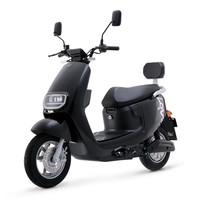 LUYUAN 绿源 MEP-欧丰 电动摩托车 LY1200DT-19B 60V20Ah铅酸电池 纳米黑