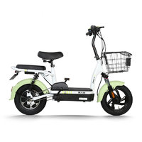 PALLA 新大洲 K3 电动自行车 TDT13-1Z 48V12Ah铅酸电池 绿色