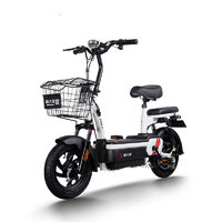 PALLA 新大洲 K6 电动自行车 TDT23Z 48V20Ah铅酸电池 钻白