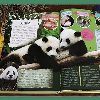 《中国儿童动物百科》（精装）